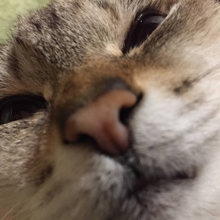 3ede06ef b893 4232 aaf8 abb1db1e08cf 1581506336513