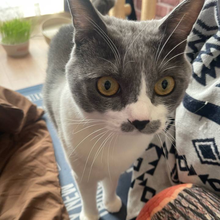 3ede490e aa82 453b 8d65 7a36c4d3b3d0 1700006853386