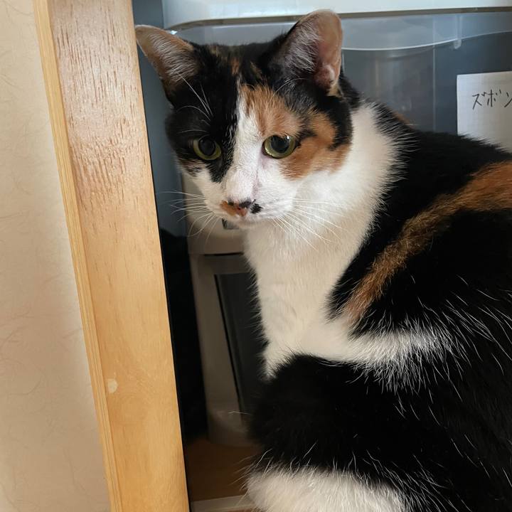 3edebcb8 871b 443c ba98 5b108b5ac5c3 1765320327287