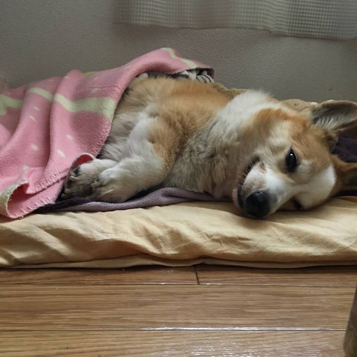 3edec215 7ae5 4eaa 9869 ca927235e2ea 1550535239506