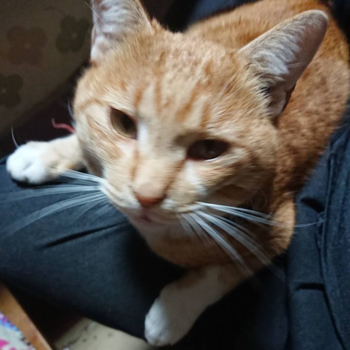 3eded678 c7d9 4391 8d34 65c0873dcfd1 1574414224098