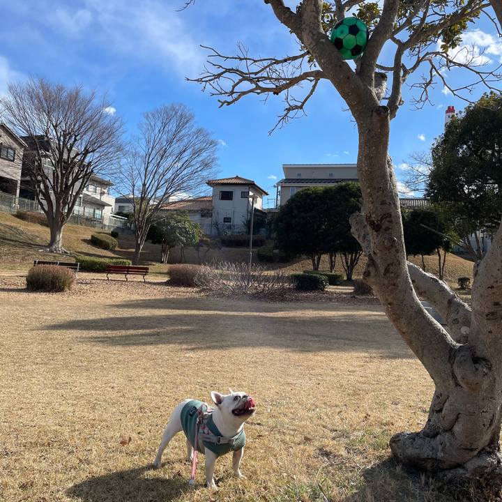 3edee627 dfbf 466e 8649 96c6fb2bbba1 1769419342373