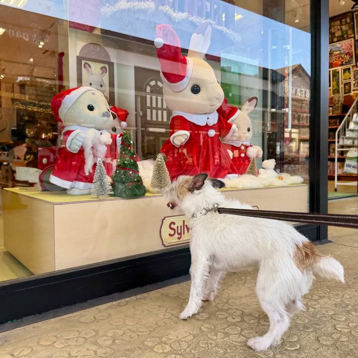 3edf0864 f446 48e2 96cf 7b29e014f4fb 1764682275845