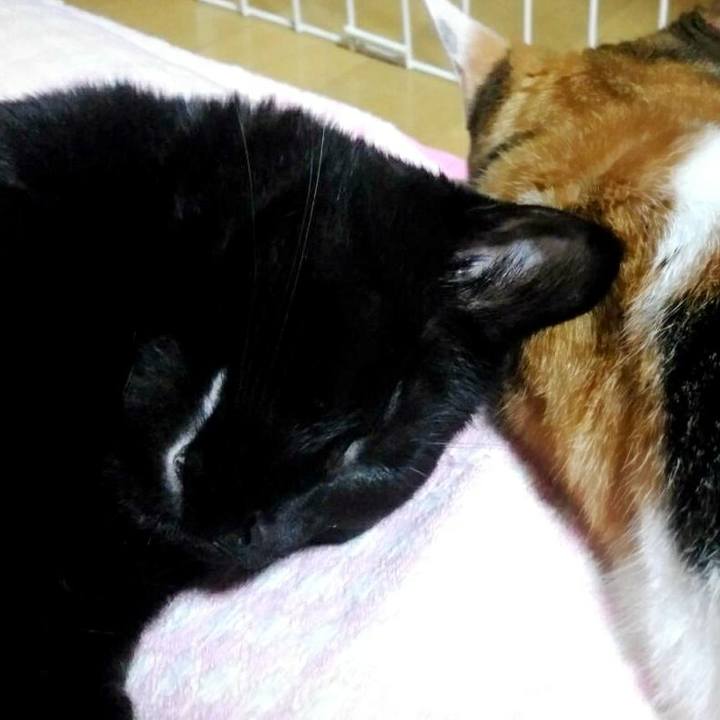 3edf1824 bcff 4c25 aa29 0d9a640f3ca0 1510834298574