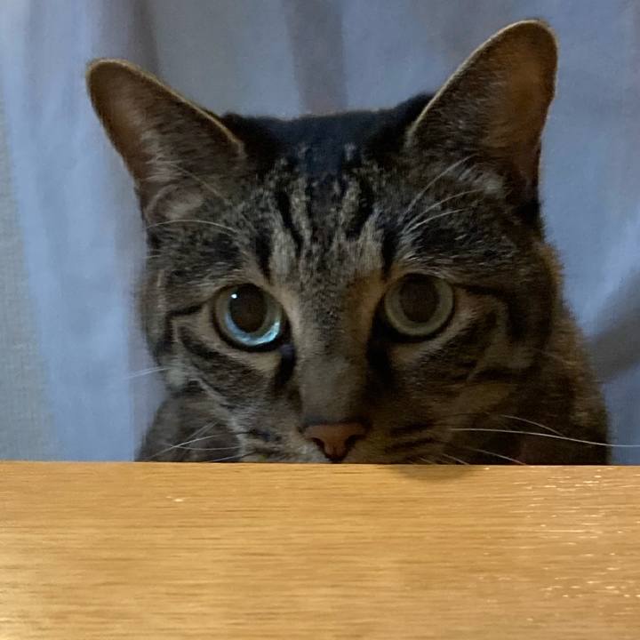 3edf2127 9aca 4746 a105 a7dd83871d46 1735954771388