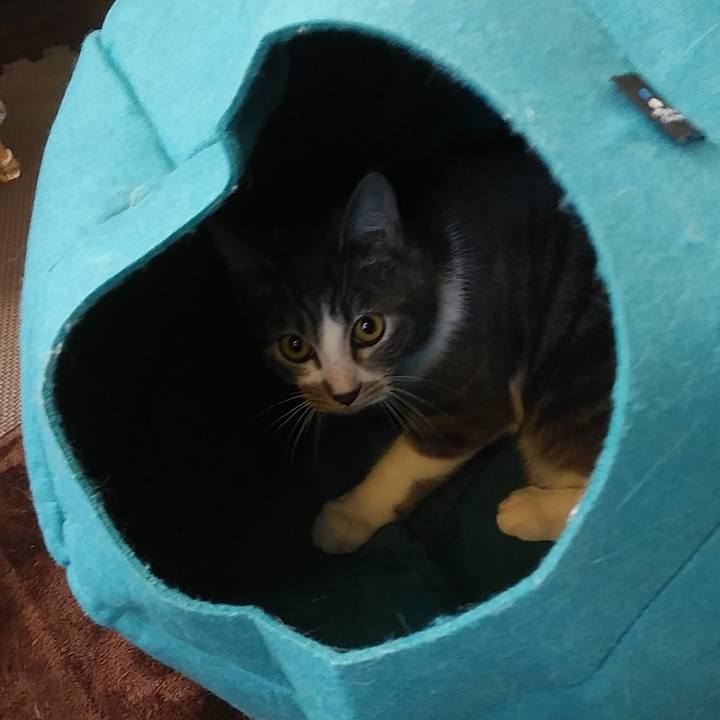 3edf4752 e245 4c53 8f24 df8594534c82 1575353533299