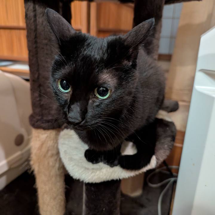 3edfeada 7a49 41f3 a816 4c6c5e138168 1774565816752