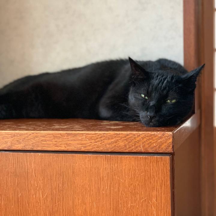 3ee0379f 050a 438c aa5b a14c463341a5 1595985756436