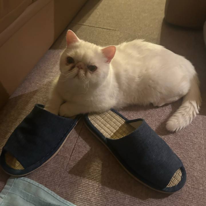 3ee06692 85fb 4815 acdc 519443a5cb2c 1757600599335