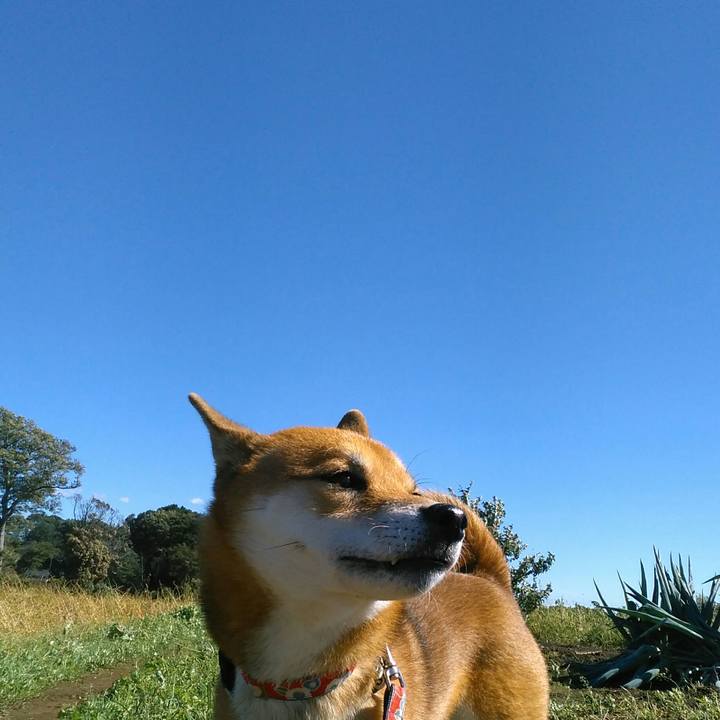 3ee0b288 3406 4abe a1ff 5c9f873f4390 1508732360899