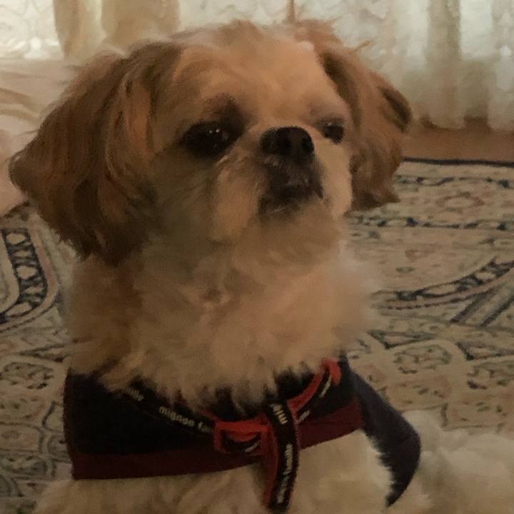 3ee0b5b8 6b0c 42b0 99f1 4b92b4a1a7a6 1603144745921