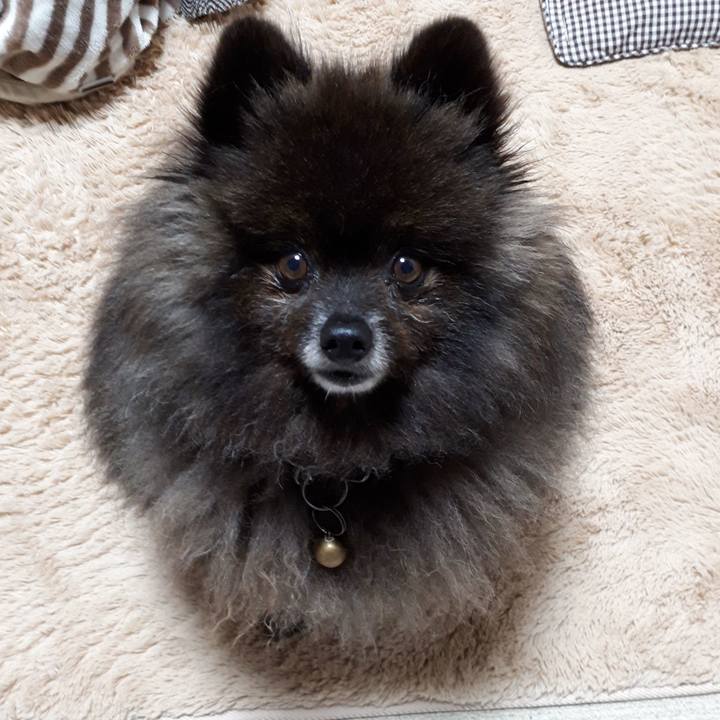 3ee0bb36 9ad7 416d 8cab 31fdfd6e143e 1522699539691