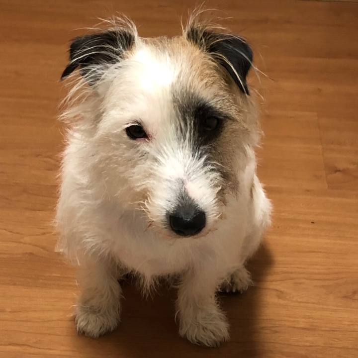 3ee0d7f8 2a88 49ac b2b5 1488c8609c66 1555562406563