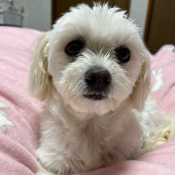 3ee1052d 3e5c 47aa b416 e805ca248787 1669121346740