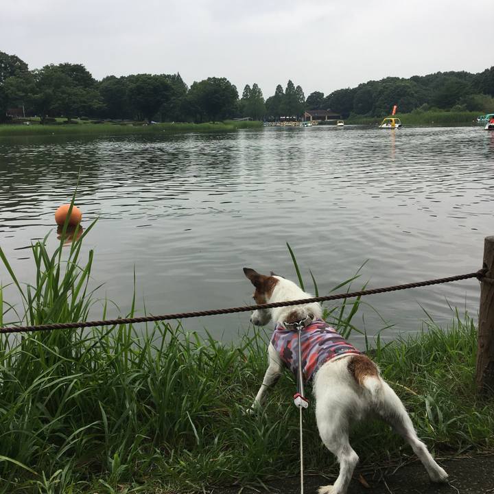 3ee111d2 550f 46ab a4a2 1201f9a05a79 1595723867038