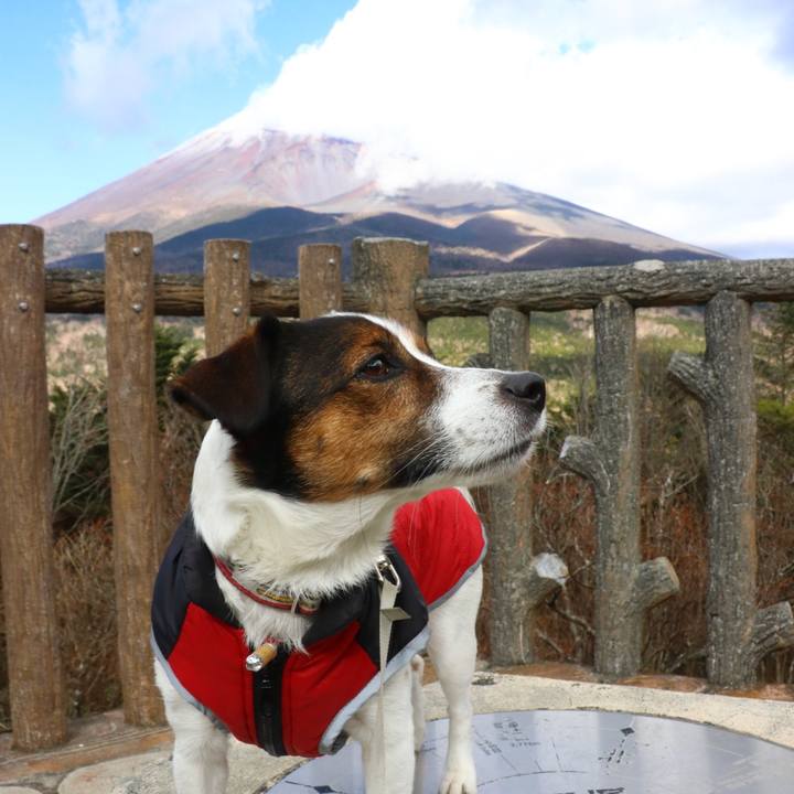 3ee12874 151e 4156 bca2 7d3b73586e63 1606545436069