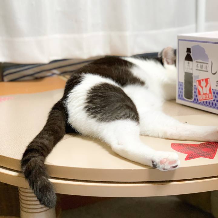 3ee155b2 94de 4e34 b910 c5841f67aa28 1568166035615