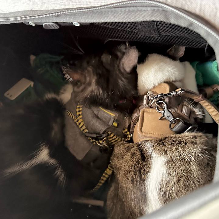 3ee16355 7eda 429c 9784 49a9f2808350 1767057207147