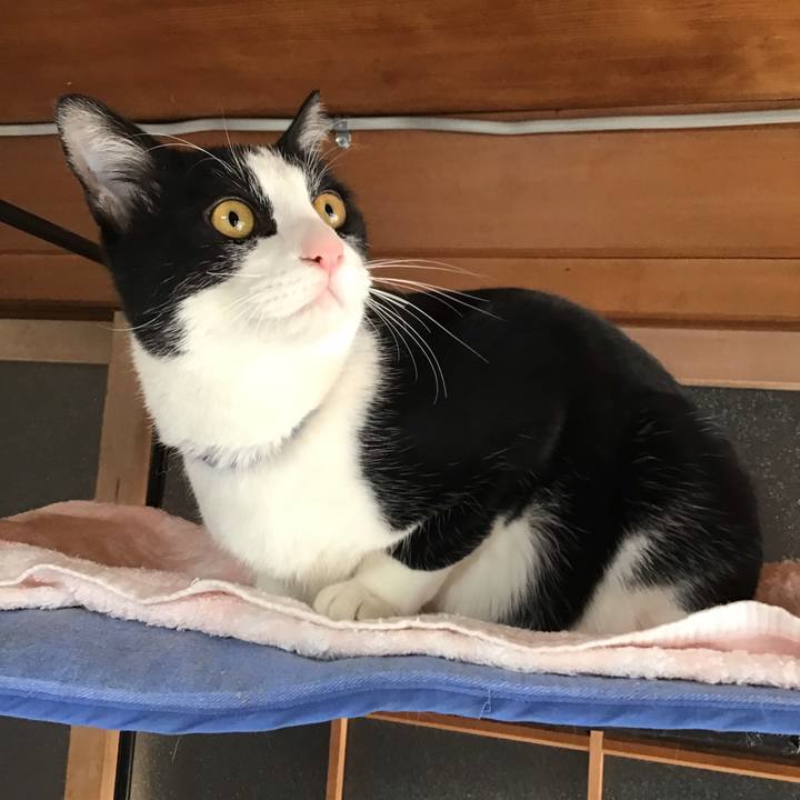 3ee16a5b 49a3 43b0 ae46 b56f9513b6c5 1644198656301