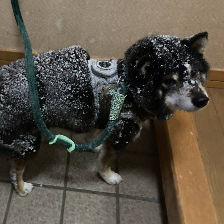 3ee19e69 c8d1 4e5f 85ff 2f0b3c49243a 1645435708509