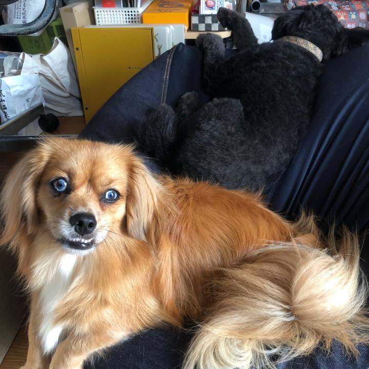 3ee22901 30cd 497d b3a8 19a943e7cca2 1533591423429