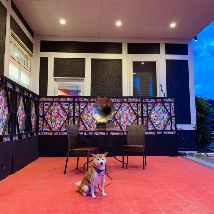 3ee24f2a 6bf3 46a0 a647 10dd985de1eb 1638268367202