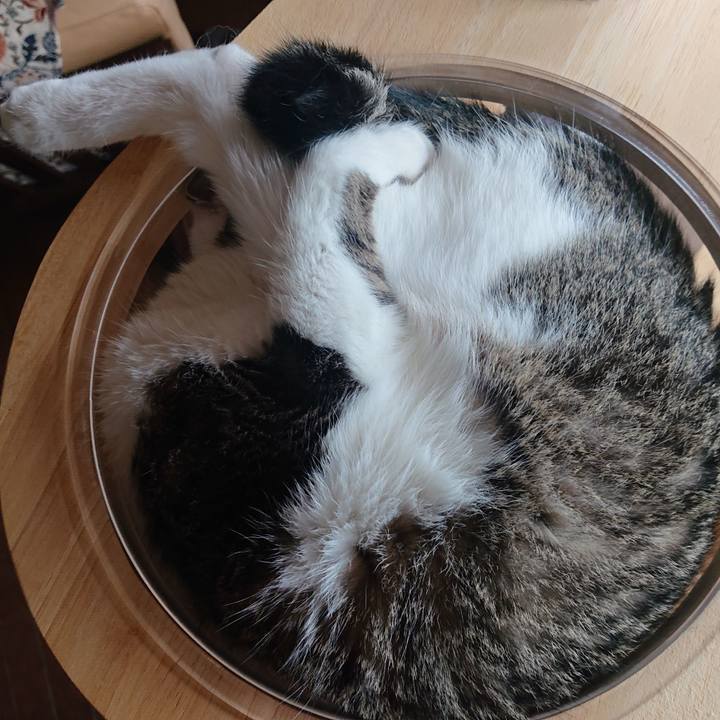 3ee25fb1 f6e7 42f5 93e8 3a37e0481af5 1691487509704