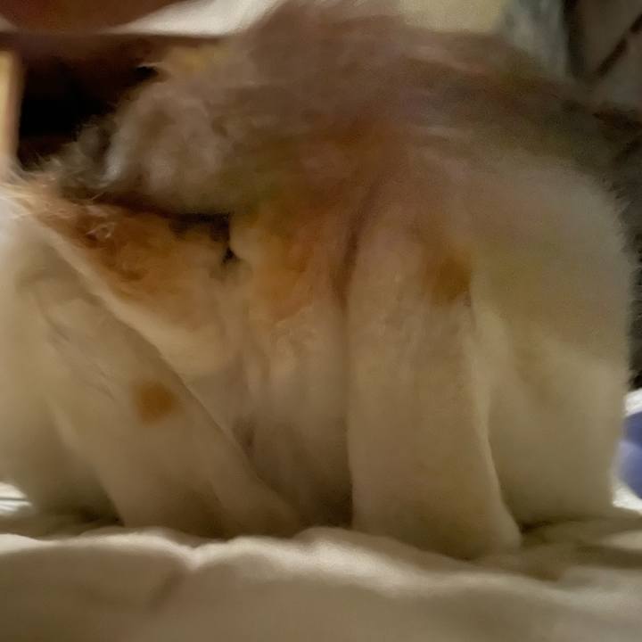 3ee28938 d3a3 41db 9219 f811cd57b872 1687777770615