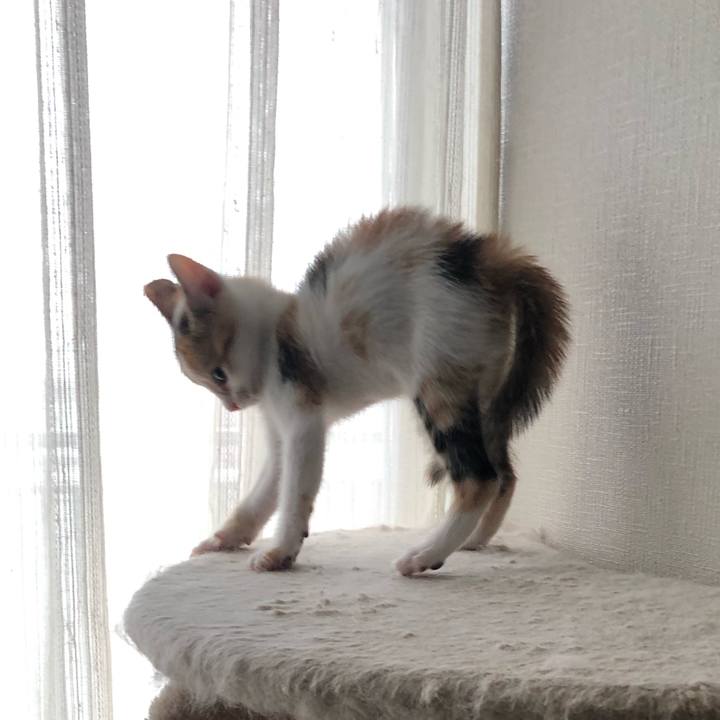 3ee2aef4 647b 4c89 9560 47455753e67a 1561771220060