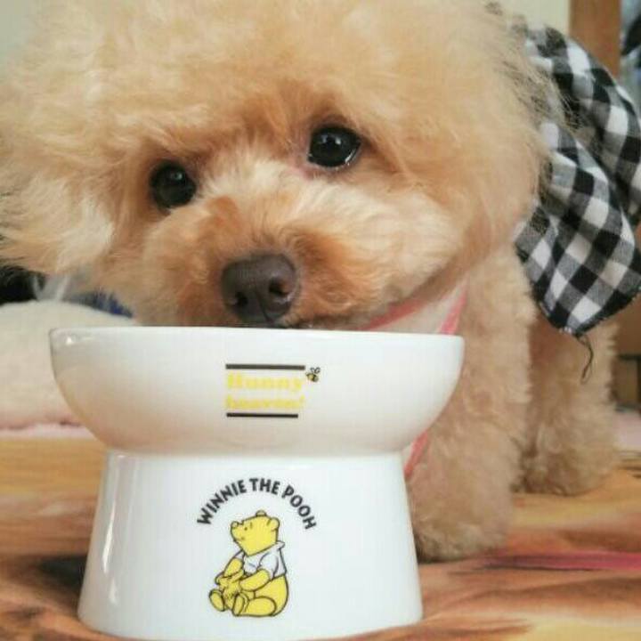 3ee2bd12 8f49 48a4 88f0 03c64ebfb212 1539043238692