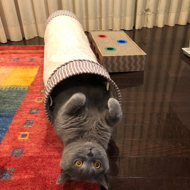 3ee2ff7f 8a9e 4689 94e8 97d149a304f8 1518236377799