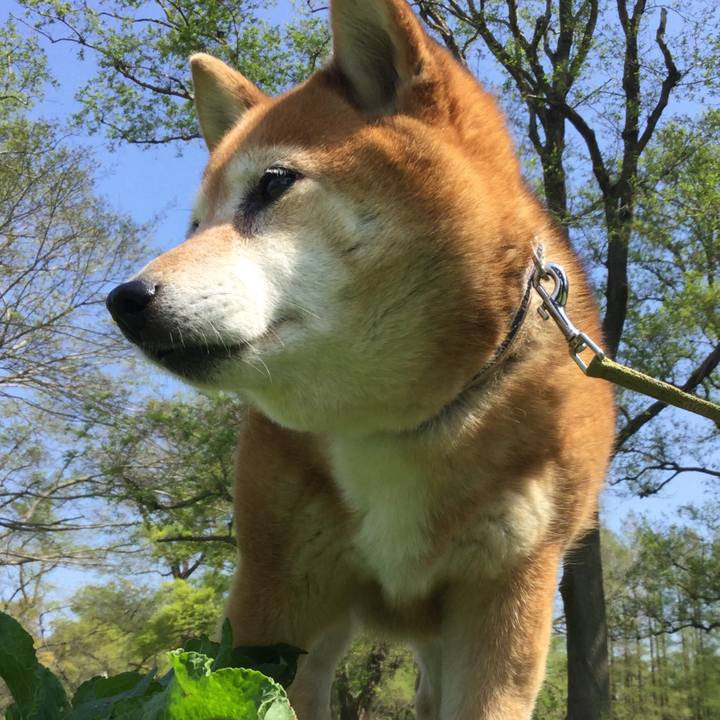 3ee30b44 c205 4896 aea7 d4bcce637f26 1617767696968