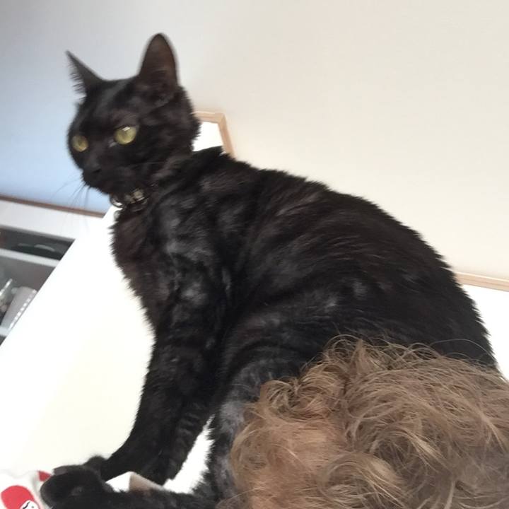 3ee3468c cd6e 497b ad6a 7adb0b34dc06 1512639773501