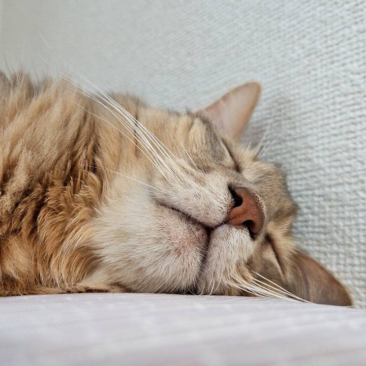 3ee37367 6cc0 41d7 be22 036e88d81d72 1723877287801