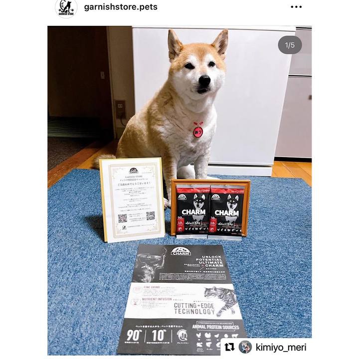 3ee393bd 796e 4292 8dae 14311e174c6e 1715989879501