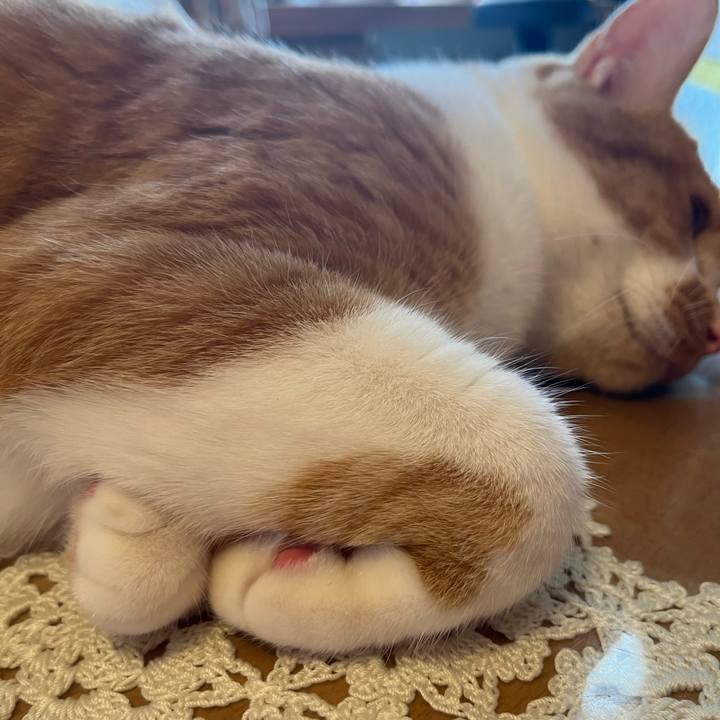 3ee3b71b 35d4 4093 8485 1eaa19e89b02 1686863212679