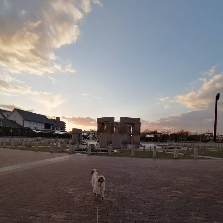 3ee3d47c f502 42a7 b307 1f22b6deae49 1575459224448