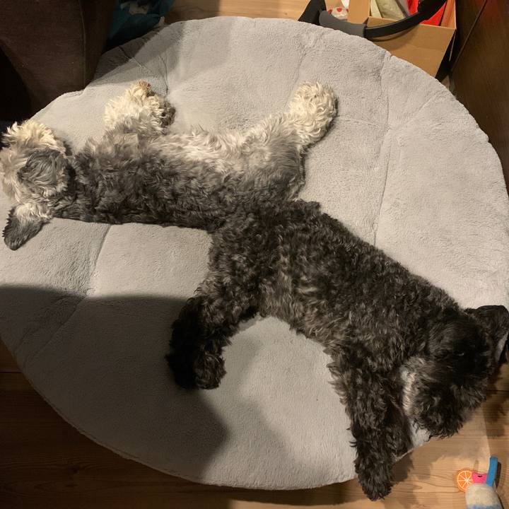 3ee3e39e 434e 4af8 8ef9 4353b78b05e6 1687263488282