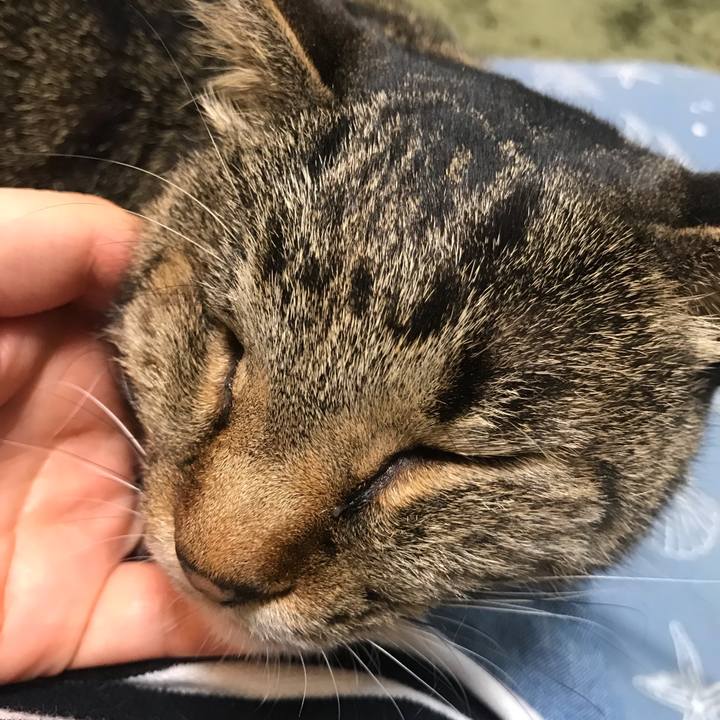 3ee3ea72 ce65 4eba 9cd7 aad835f88b75 1589239142931