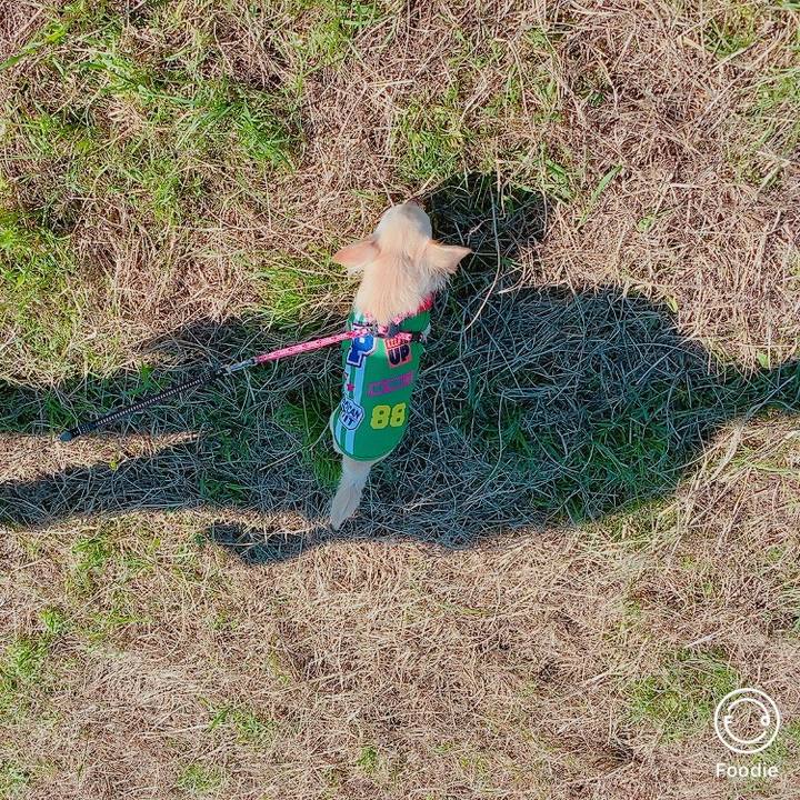 3ee3f194 617a 4b91 a47e 4f1343f55726 1632131925449