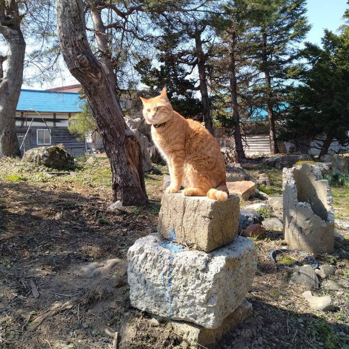 3ee4c43a 65a5 415c bb29 3073b448a830 1680139199187