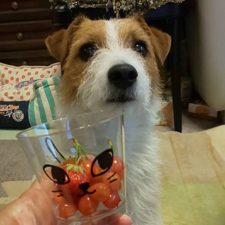 3ee4d557 7a9e 40c0 9338 d2860a2f7fce 1556252171666