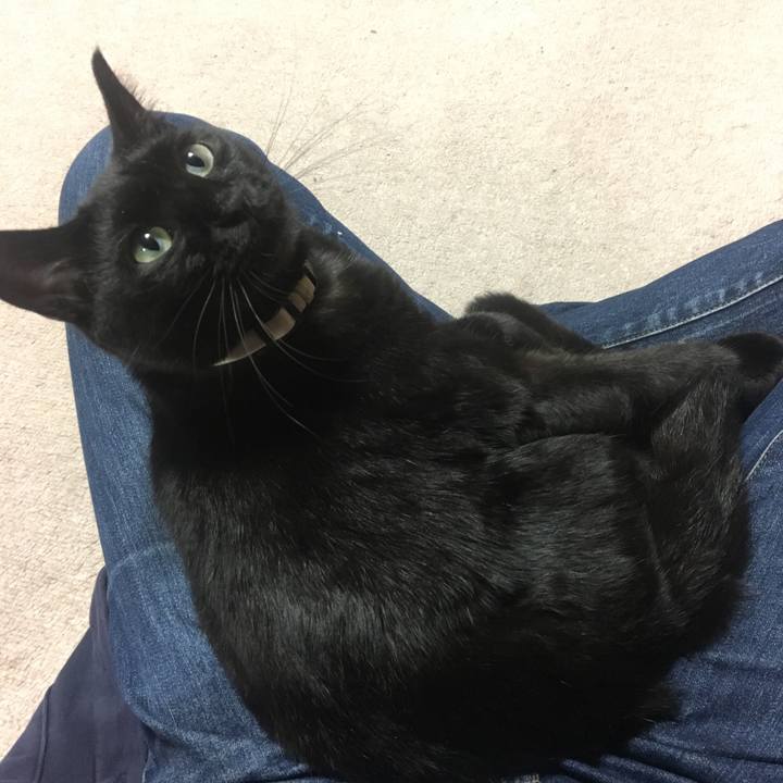 3ee4d7e8 989e 49c6 b105 5028b375333f 1539167500168