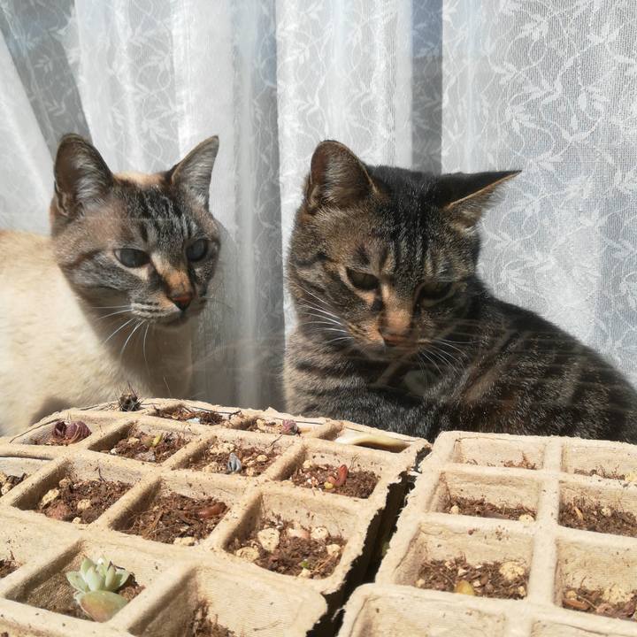 3ee50bb4 b81e 4b72 93a1 a9bb2002ff75 1584243361288