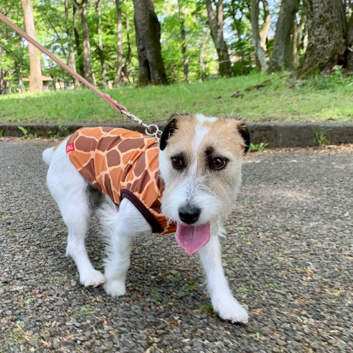 3ee50c45 0a19 46d1 8891 1b770283d50c 1682235319342