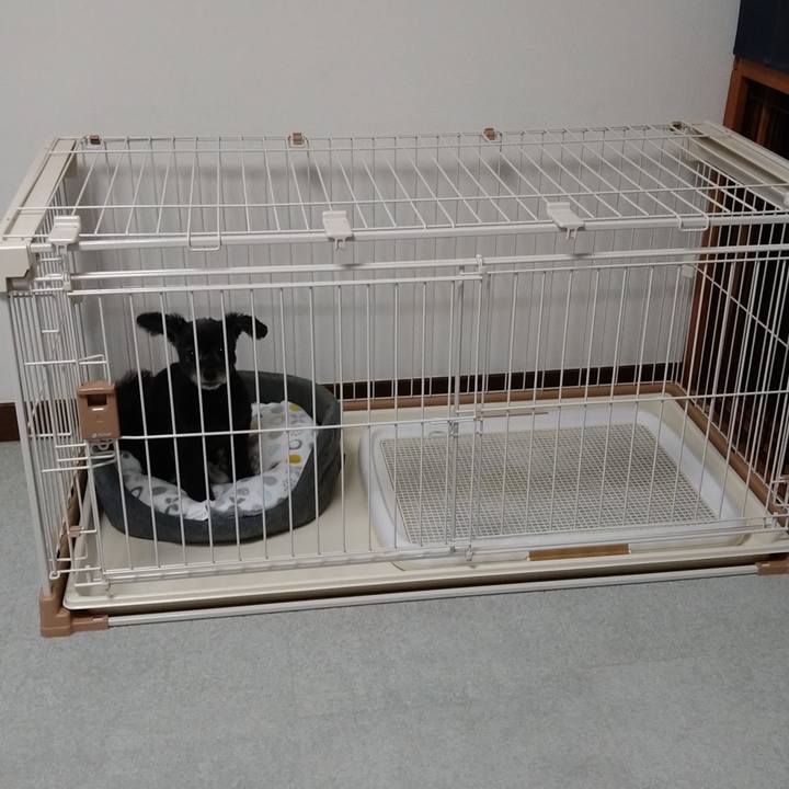 3ee52fcb fcd9 4832 9c86 cbd036a4adc5 1663158356706