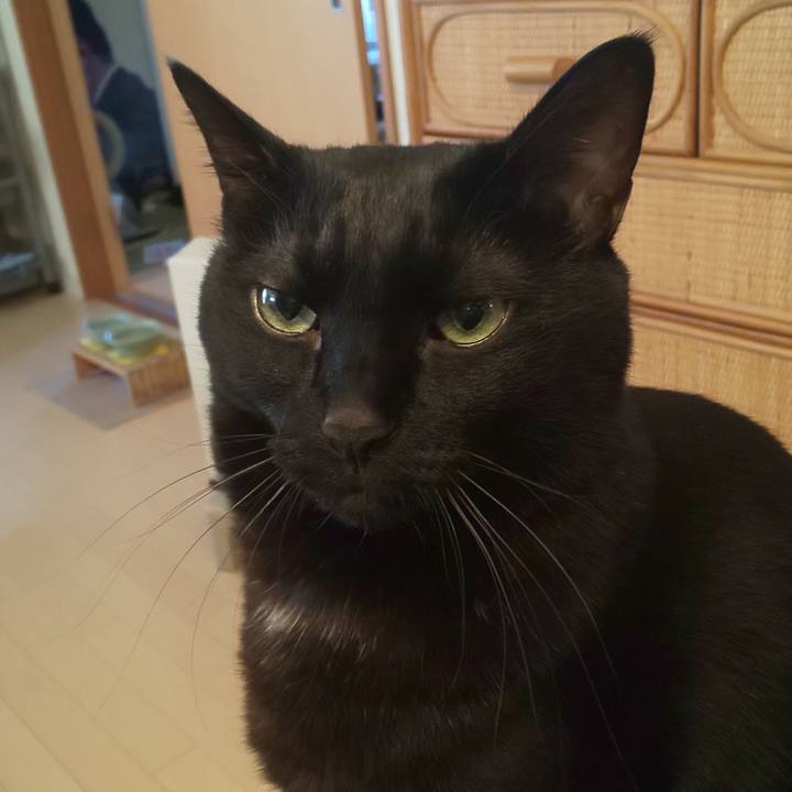 3ee5514b 3340 4636 8072 27dd07bfd96a 1763167776592