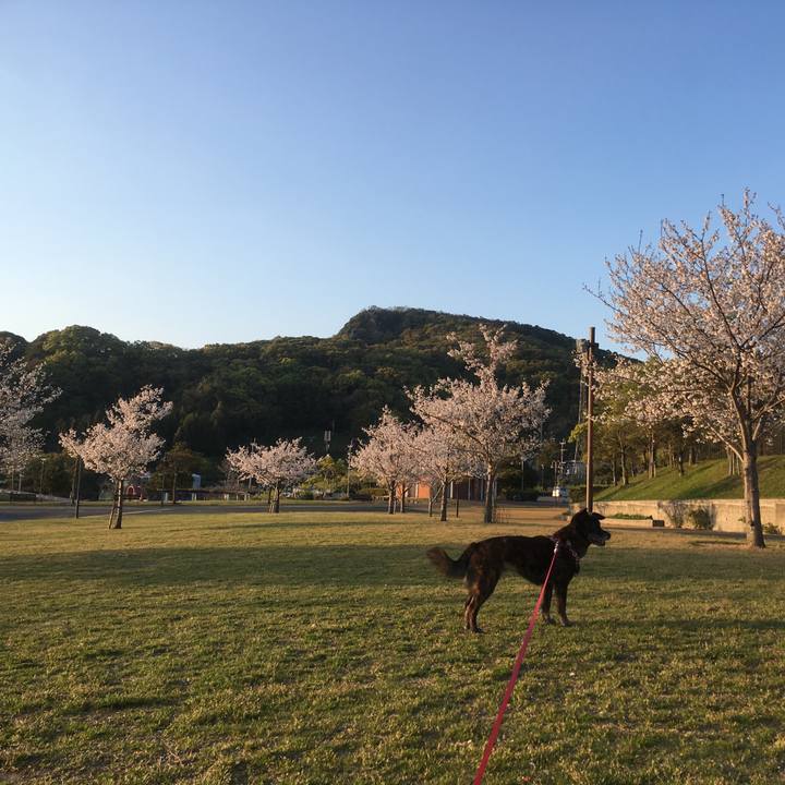 3ee55a9a 8ec6 4e4a aa83 504e7f2860a3 1555341201125