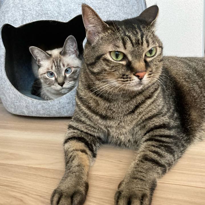 3ee56928 30ae 477d 846e 20ed7104aec8 1660177219922