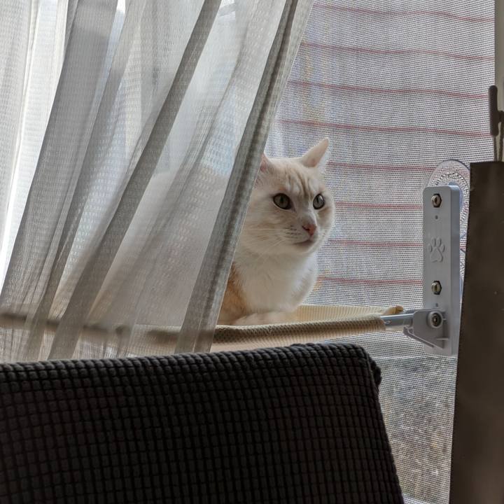 3ee60196 0f0b 4832 a978 8aea61f0237e 1701734687106